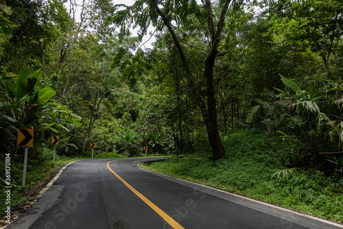 Rural Country Road on the Mountains early in the morning on the Doi Phuka National Reserved Park  Nan Province  Thailand