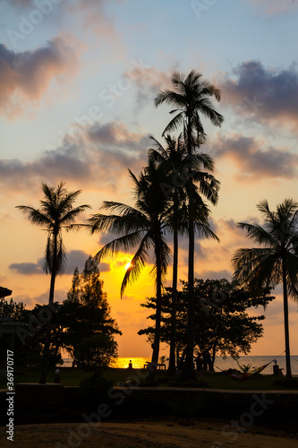 Sunset and coconut in Bailan beach © suthin3