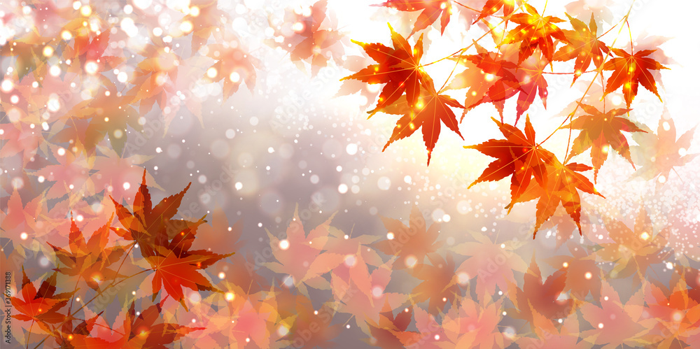 紅葉　もみじ　秋　背景