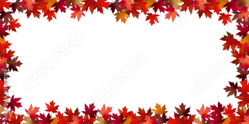 紅葉　もみじ　秋　背景