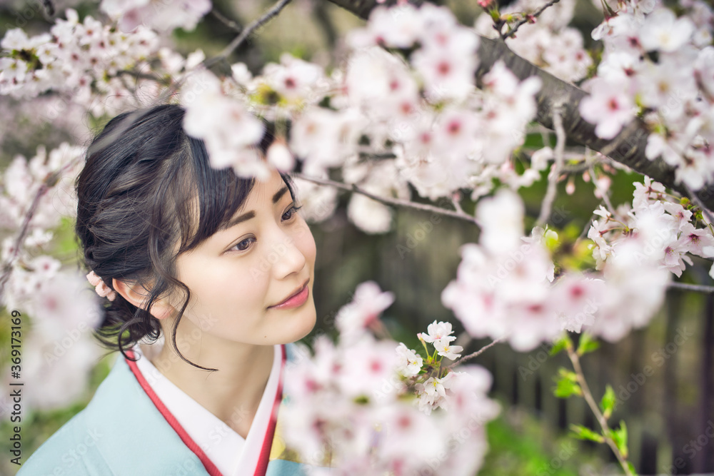 着物の女性 和服 京都 桜 着物の女性 和服 京都 桜