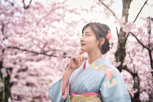 着物の女性 和服 京都 桜