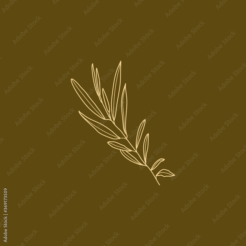 Olive Branch with leaves. Outline Botanical leaves In a Modern Minimalist Style. Vector Illustration.