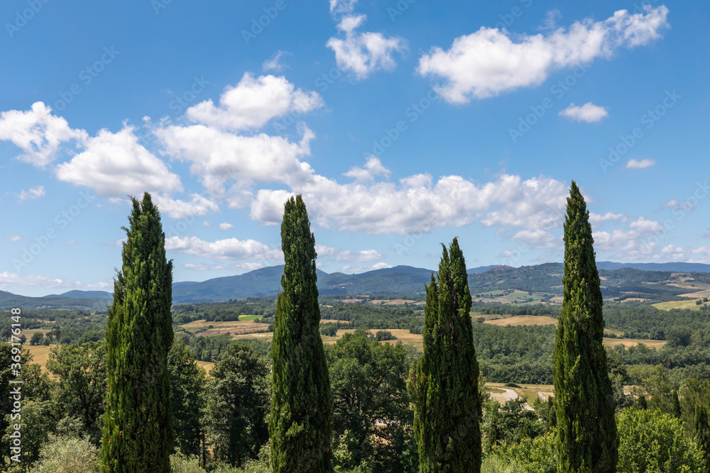 Iconic italian landscape, with fous cypresses towering against farmland and under a blue summer sky with puffy clouds