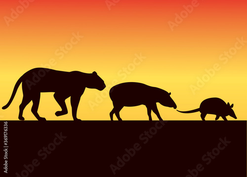 group of wild animals silhouettes in the sunset landscape
