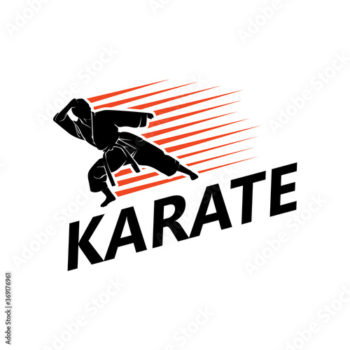 Karate Logo Template Design Vector