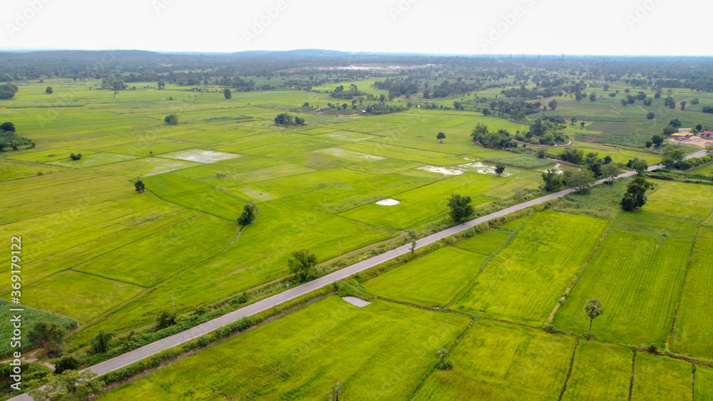 Aerial photograph, Green rice fields in rural areas, Thailand