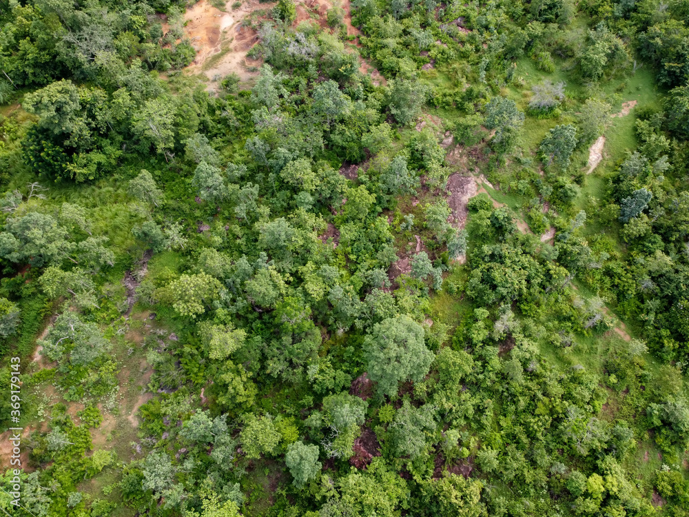 Aerial view road going through forest, Texture of forest view from above, Ecosystem and healthy environment concepts and background.