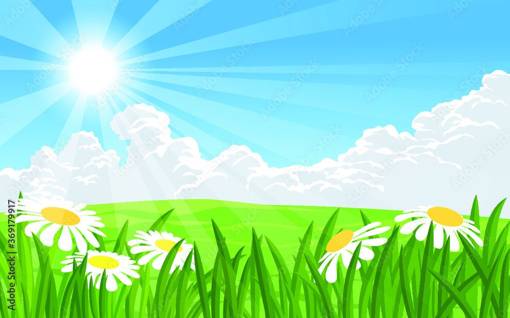 Fototapeta premium spring meadow with flowers
