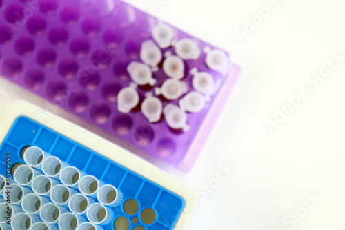 Micro Centrifuge tube with blood sample in solution, for testing anti-biotic with tips micropipette and purple eppendorf racks, biotechnology analysis experiment for anti-virus.	