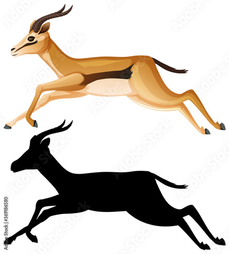 Gazelle cartoon character set