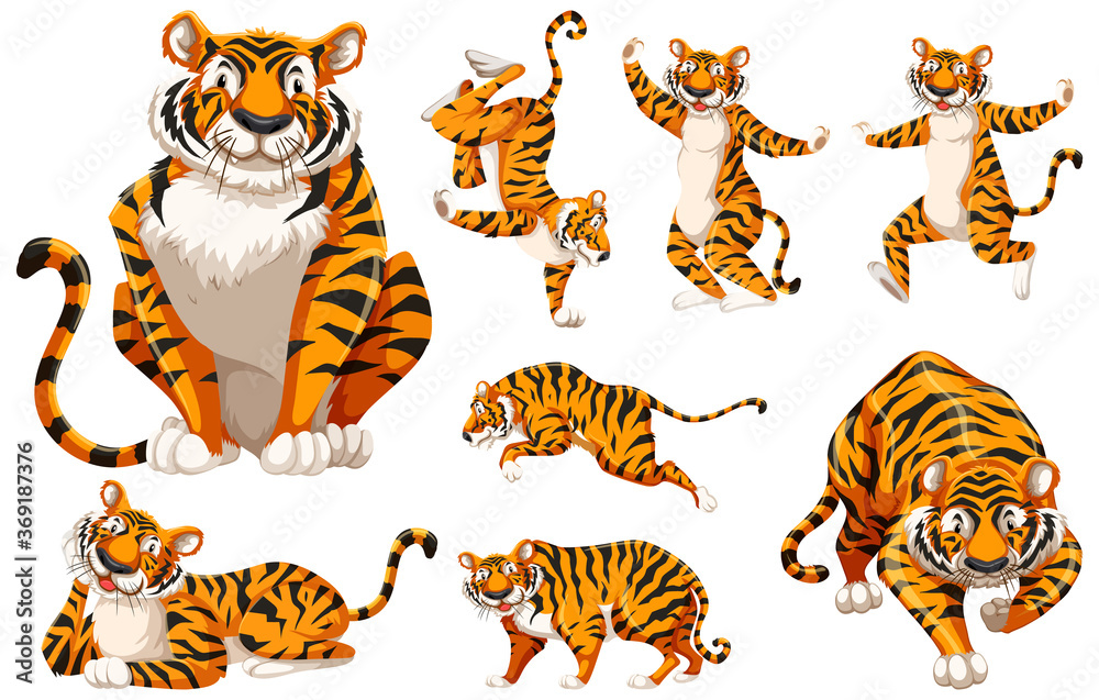 Set of tiger cartoon character Set of tiger cartoon character