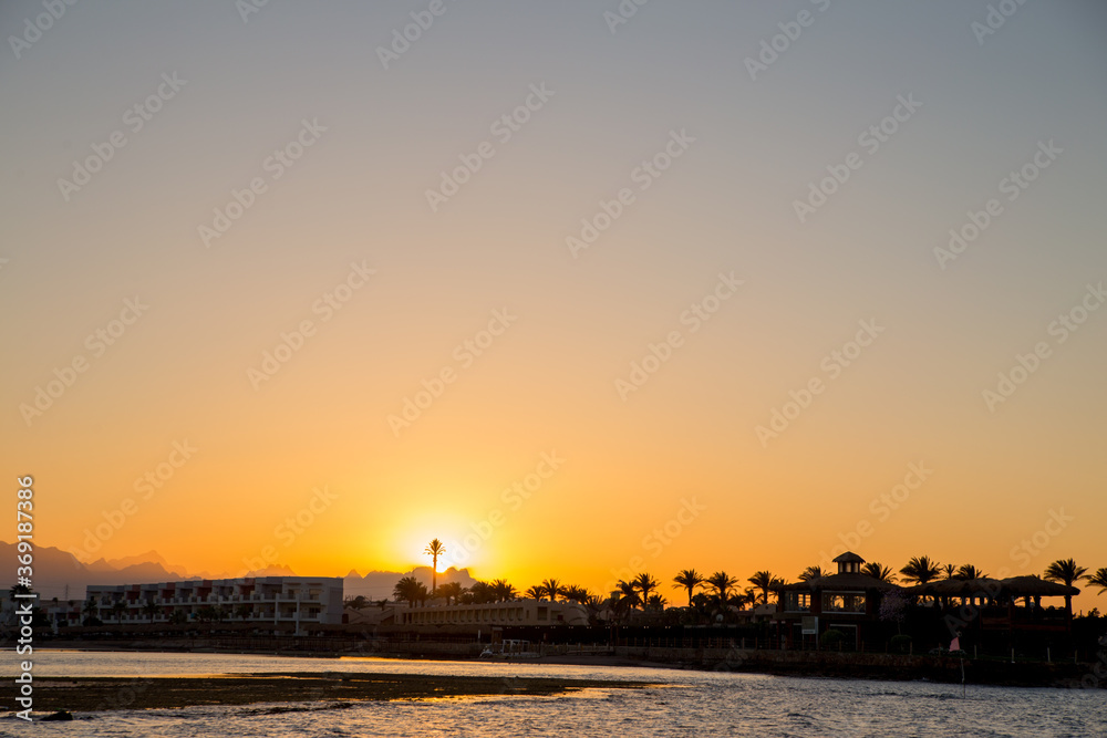 sunset on the sea with palm trees in the evening