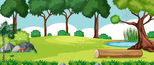 Blank landscape in nature park scene with many trees and swamp