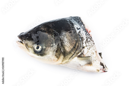 Fresh silver carp head on top of white background，