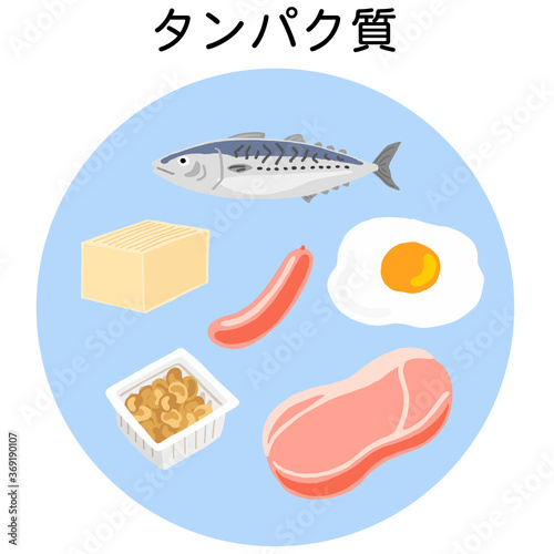 五大栄養素　タンパク質の食品