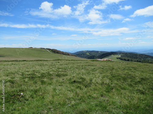 vosges