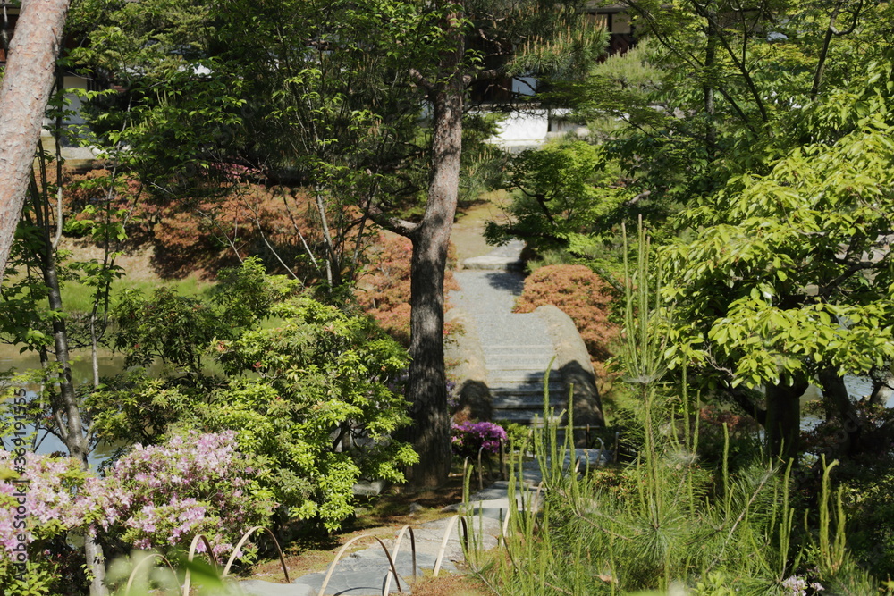 京都　桂　20150511