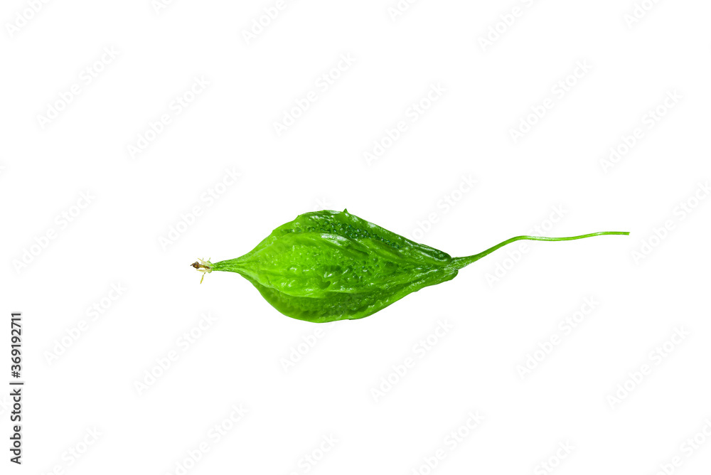 Obraz premium Bitter gourd has been placed on a white background.
