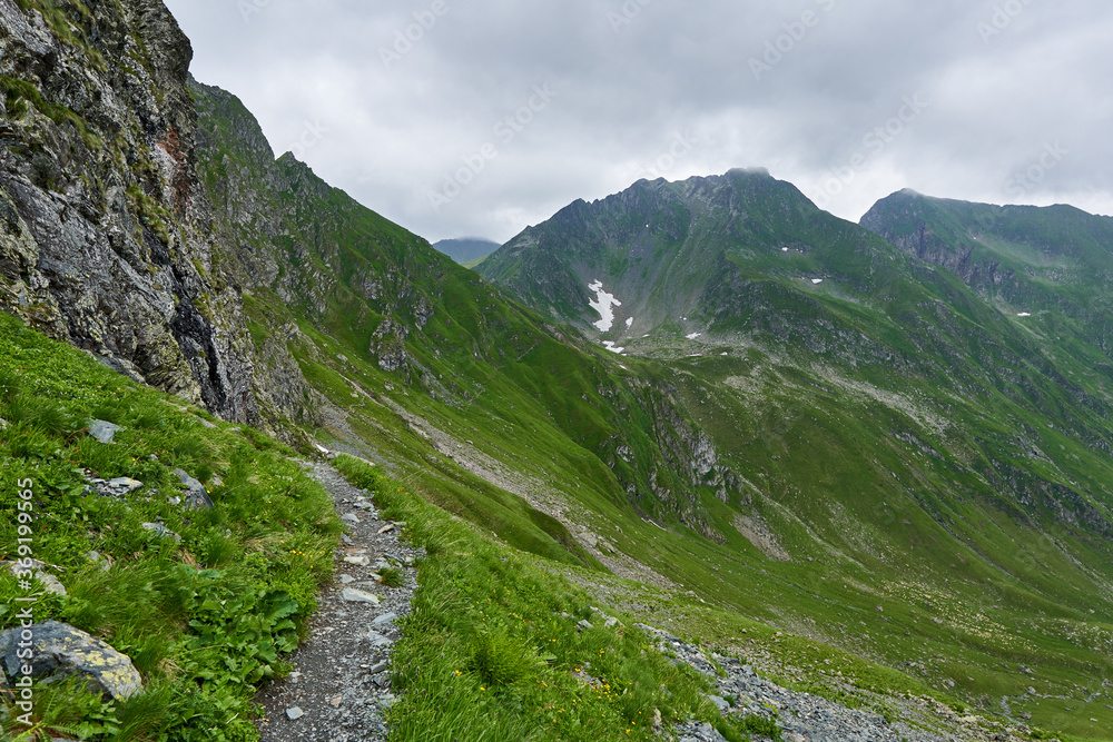 Summer in the mountains