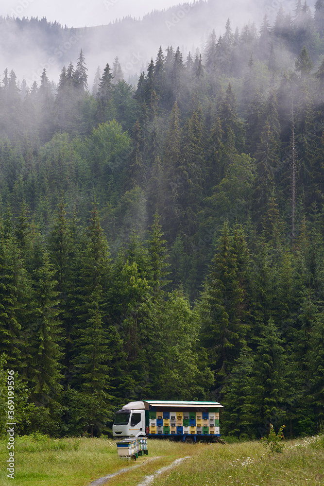 Lorry with beehives