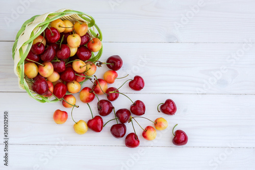 Cherries scattered on a white wooden background. Top view of ripe red berries. Rustic summer still life with a bowl. Yellow and red berries.