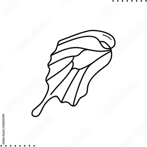 Wing shape of butterfly, aerodynamics vector icon in outline