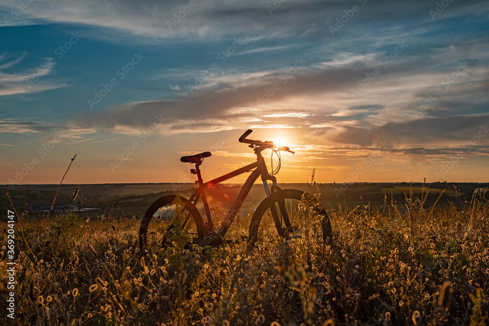 Naklejka premium cycling through fields and meadows