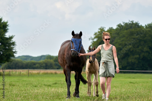 A falcon color foal and a brown mare in the field, with a fly mask on, the woman is holding the mare © Dasya - Dasya
