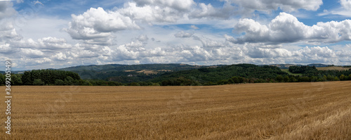 large expansive cut golden wheat fields in the rolling hills of the Rhineland-Palatinate in Germany