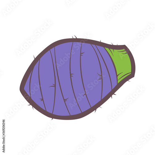 Cute icon cartoon taro. Brown line vegetables. Vector illustration about food.