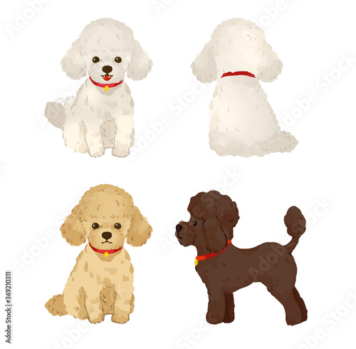 group of puppies