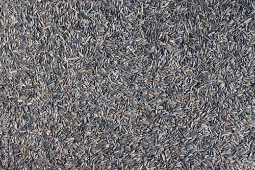 Black Niger seeds, Guizotia abyssinica heaped, Background or texture photo
