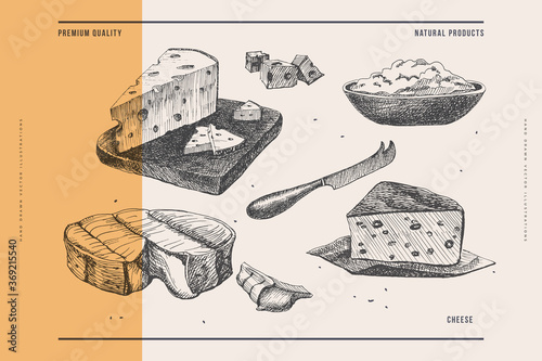 Hand-drawn hard and soft cheeses on a light background. Retro picture for the menu of restaurants, markets, and shops. Vector illustration in old engraving style.