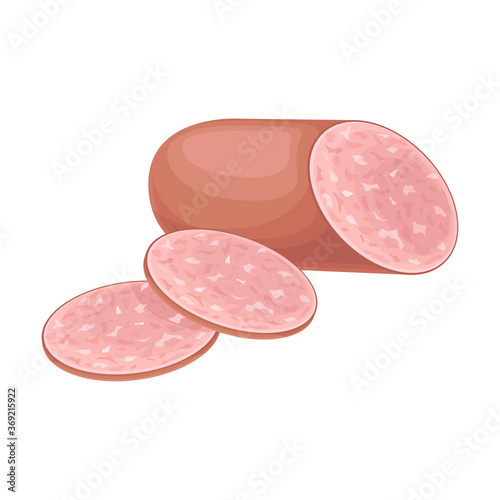 Bologna or Boiled Sausage as Meat Product Vector Illustration