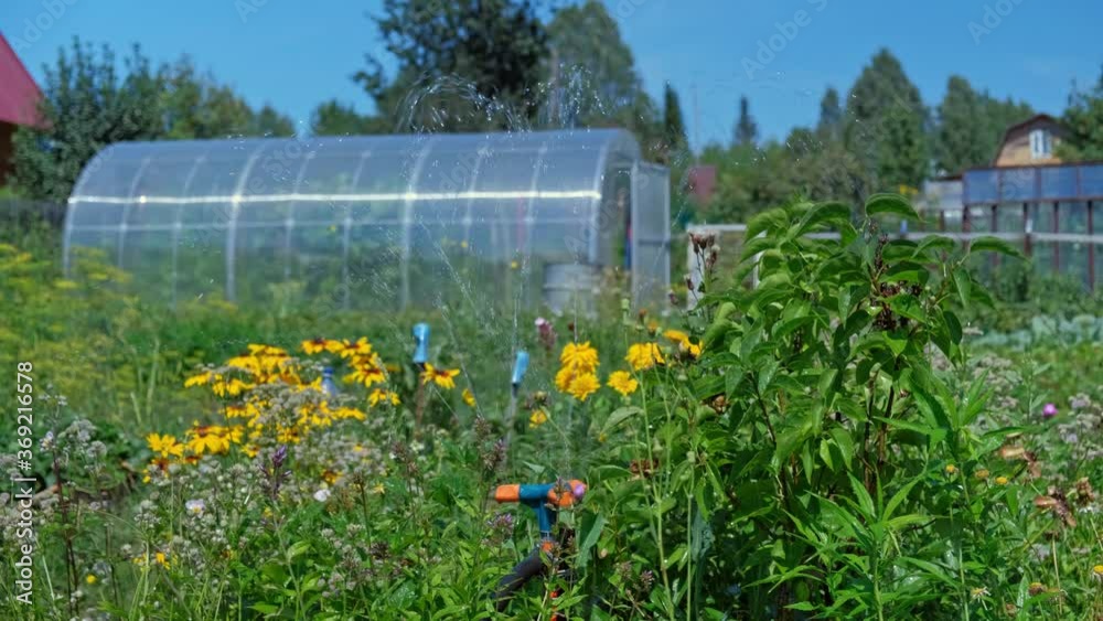 Automatic irrigation system for crop irrigation. Watering sprayer sprays water on potatoes, flowers, grass, lawn in the garden. Automatic irrigation system for crop irrigation. Watering sprayer sprays water on potatoes, flowers, grass, lawn in the garden.