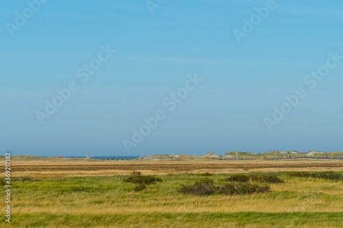 Salzwiesenlandschaft St. Peter-Ording 