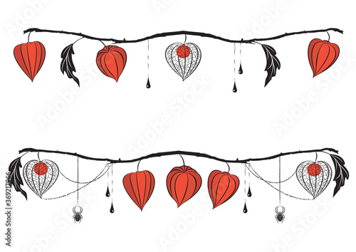 set of vector dividers with fruit with husk of physalis and spiders wirh spiderweb  in black and orange colors, autumn illustration