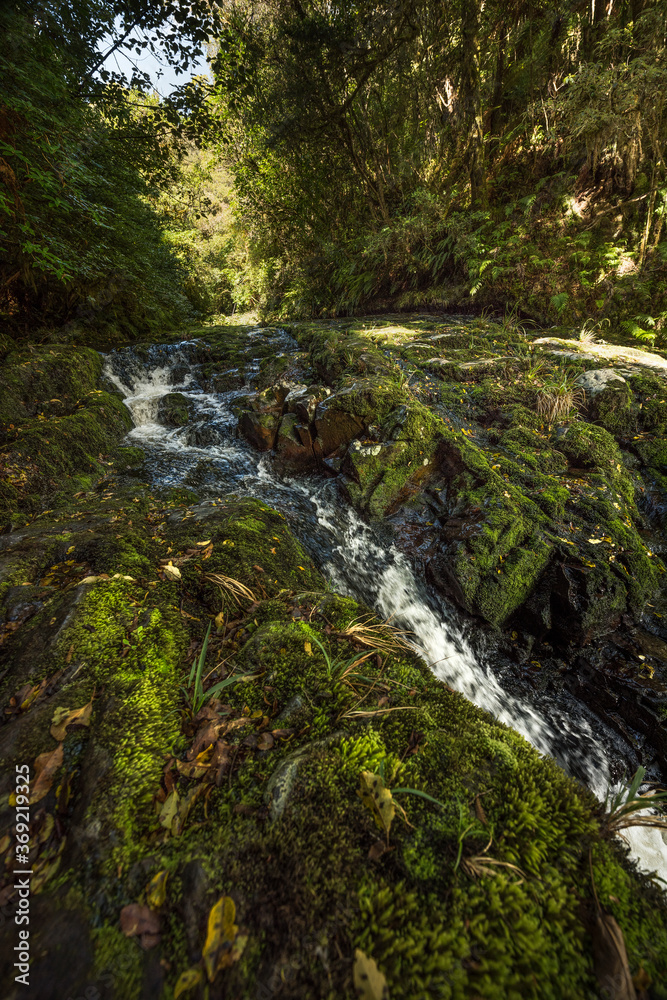 mclean falls, new zealand