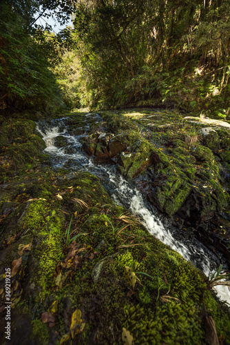 mclean falls, new zealand