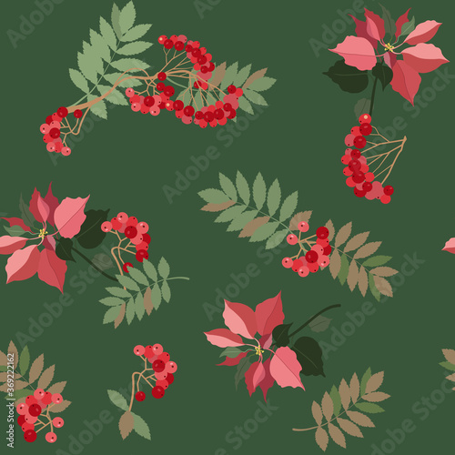 Seamless vector illustration with poinsettia flowers and rowen
