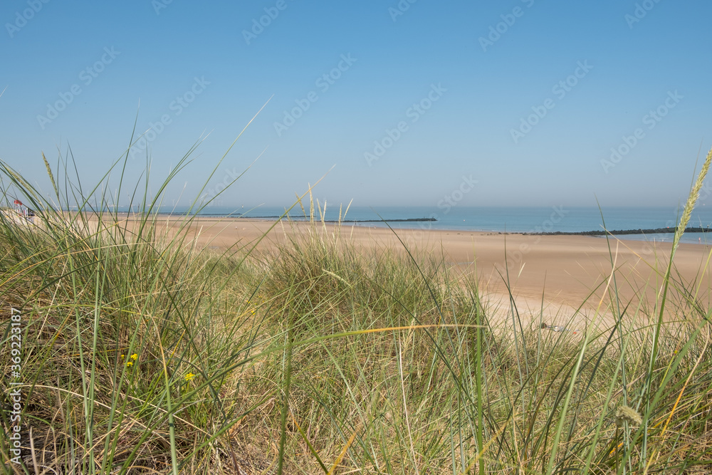 Fototapeta premium holiday feeling in Zwin