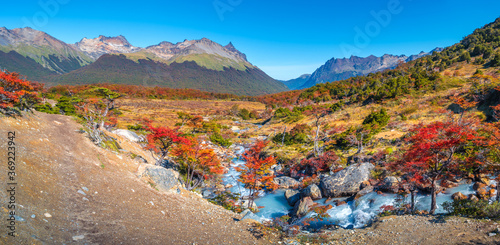 Panoramic view over magical austral forest, peatbogs dead trees, glacial streams and high mountains in Tierra del Fuego National Park, Patagonia, Argentina