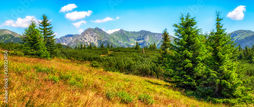 Fototapeta Naklejka Na Ścianę i Meble -  Summer mountain panoramic landscape in Western Tatras, Slovakia
