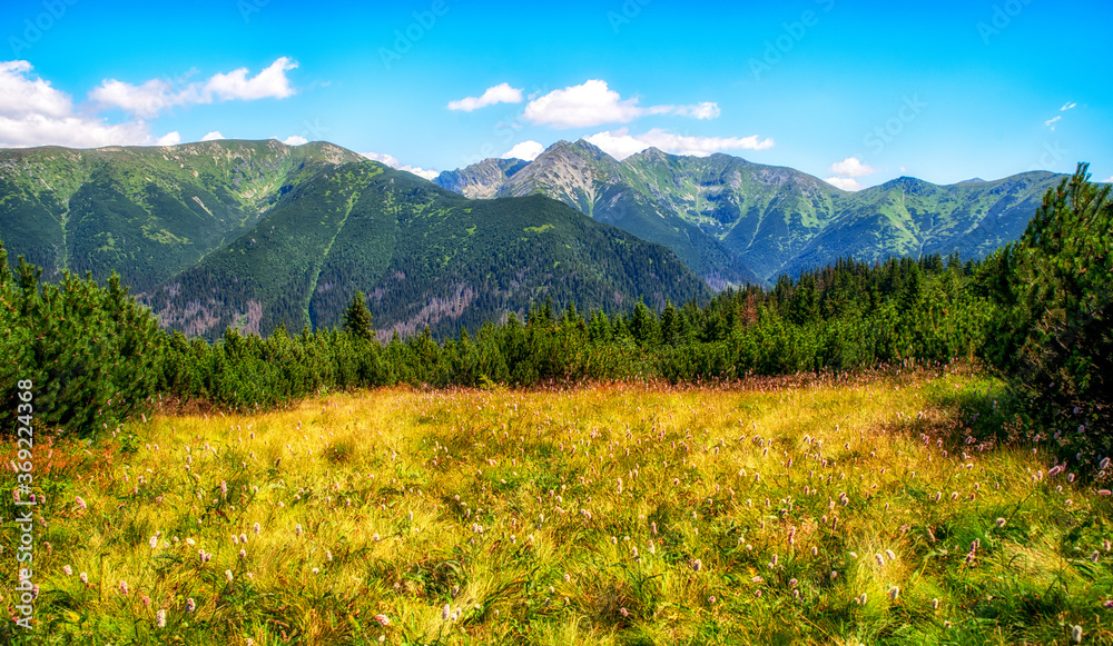 Summer mountain panoramic landscape in Western Tatras, Slovakia