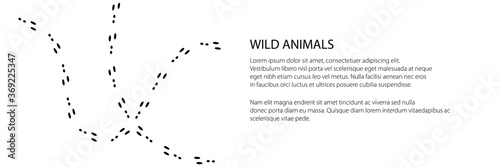 Banner of trace of forest animal, traces of hare, vector illustration