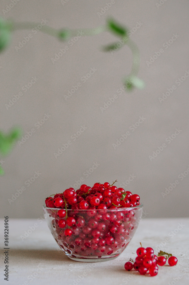 Bright fresh red currant in glass bowl on table on grey background with green leaves frame 