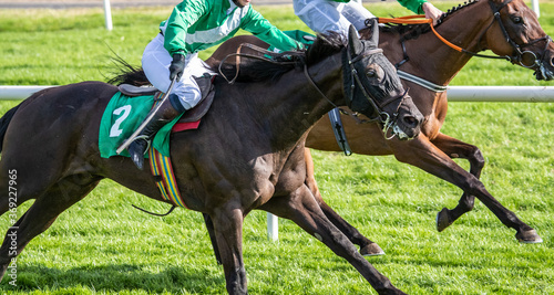 Close-up on horse racing action, fast sprinting motion
