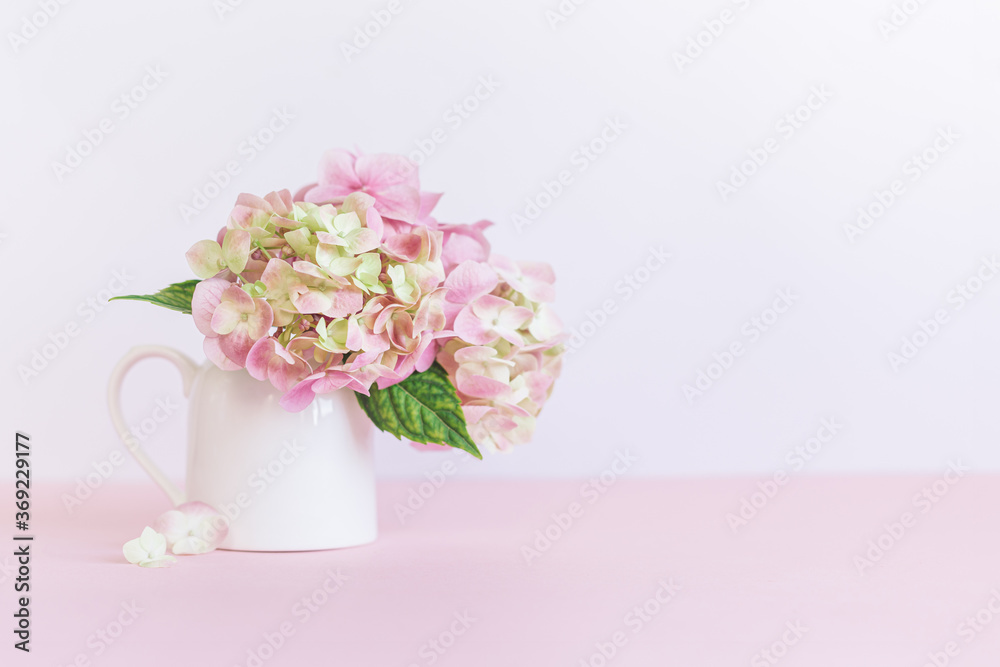 Romantic bouquet of pink Hydrangea flower in a jar on a pink background.