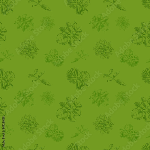 Vector seamless floral pattern, green bright color, hand drawn background template, hatch drawings, different leaves, summer.
